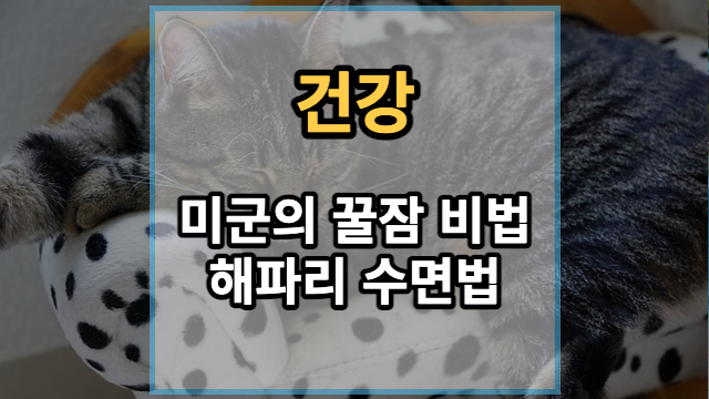 해파리-수면법