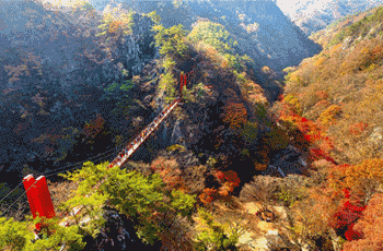 간천산 출렁다리