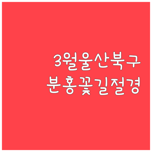 울산 북구 3월 방문 필수 포인트 해..