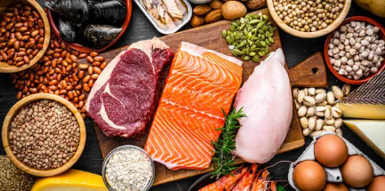 단백질 음식