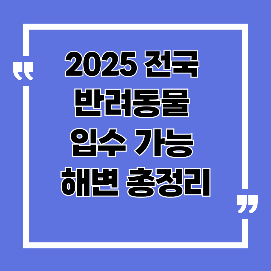 2025 전국 반려동물, 반려견 입수 가능 해수욕장 총정리