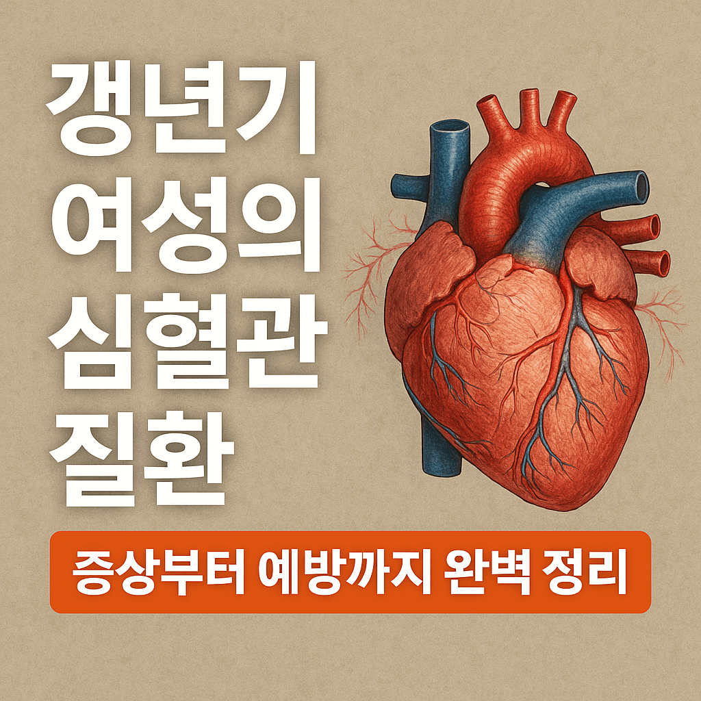 갱년기 여성의 심혈관 질환, 증상부터 예방까지