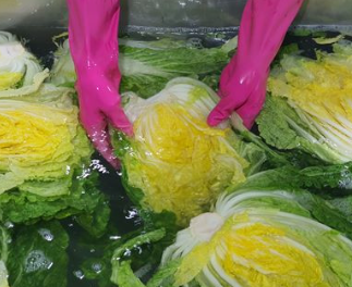 슬기로운 청년농부생활