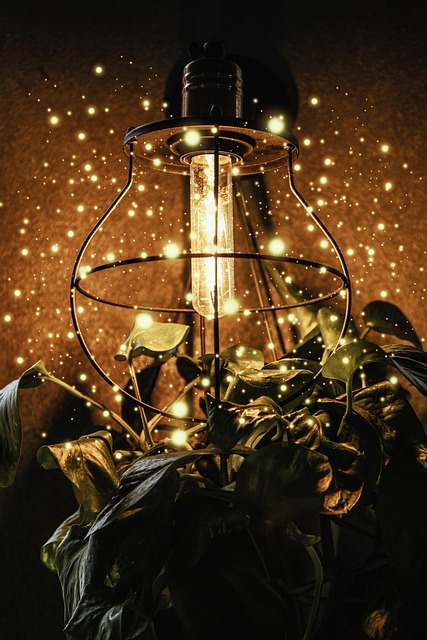 무주 반딧불축제 관련 이미지