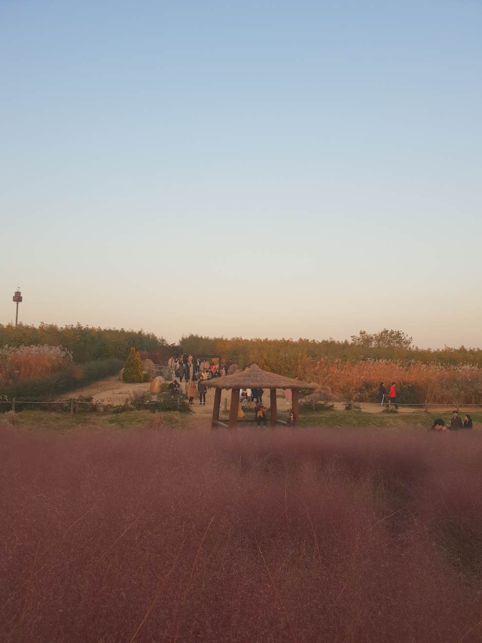 하늘공원억새축제
