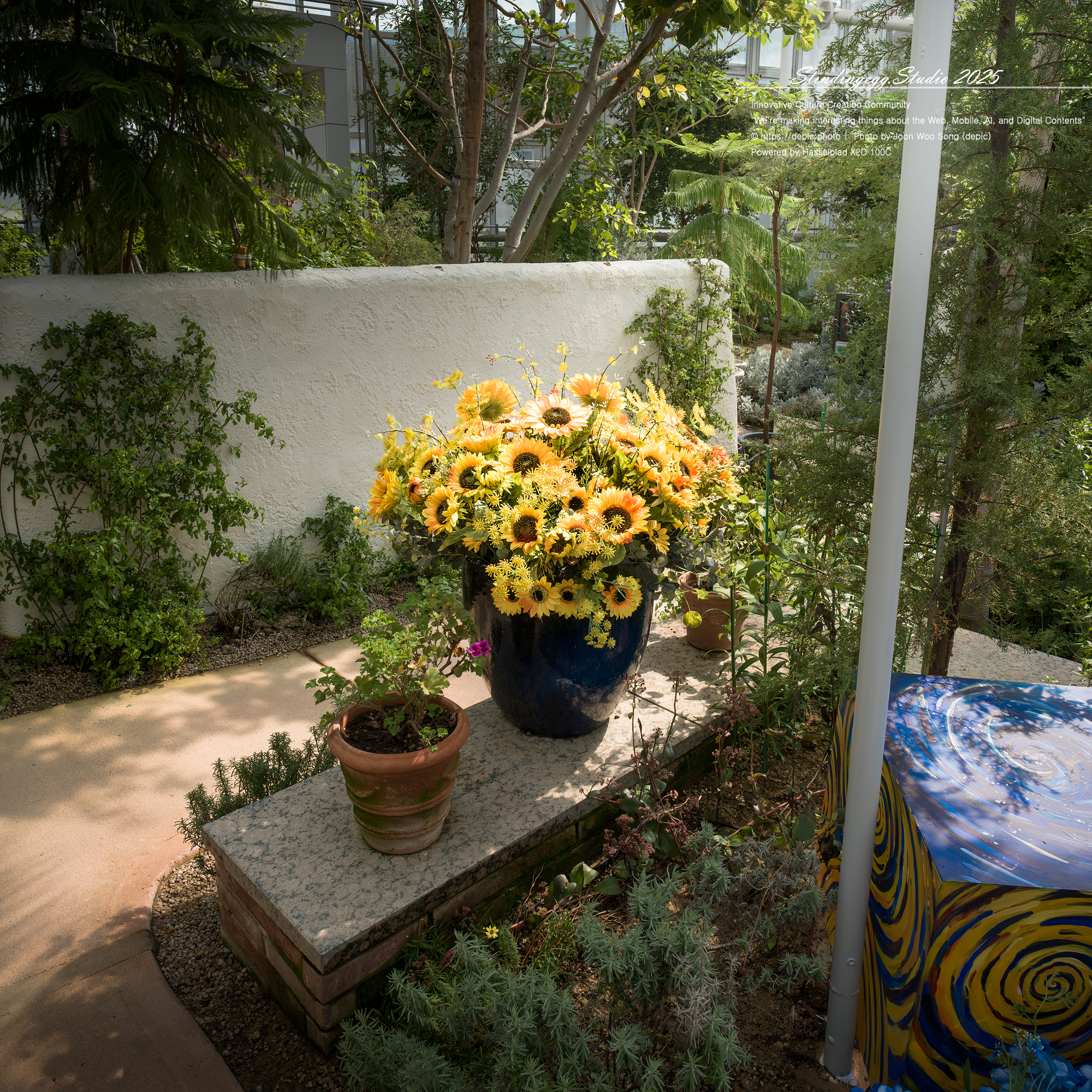 #세종 #세종수목원 #고흐 #정원 #수목원