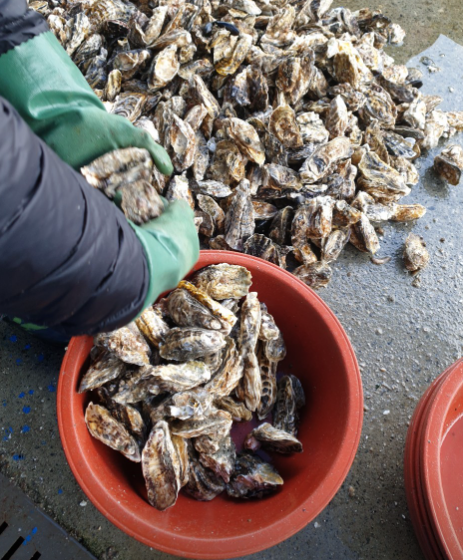 천북88굴수산 대표 메뉴 및 가격