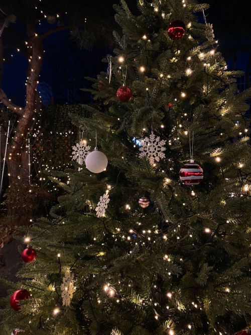 니어앤디어-크리스마스트리