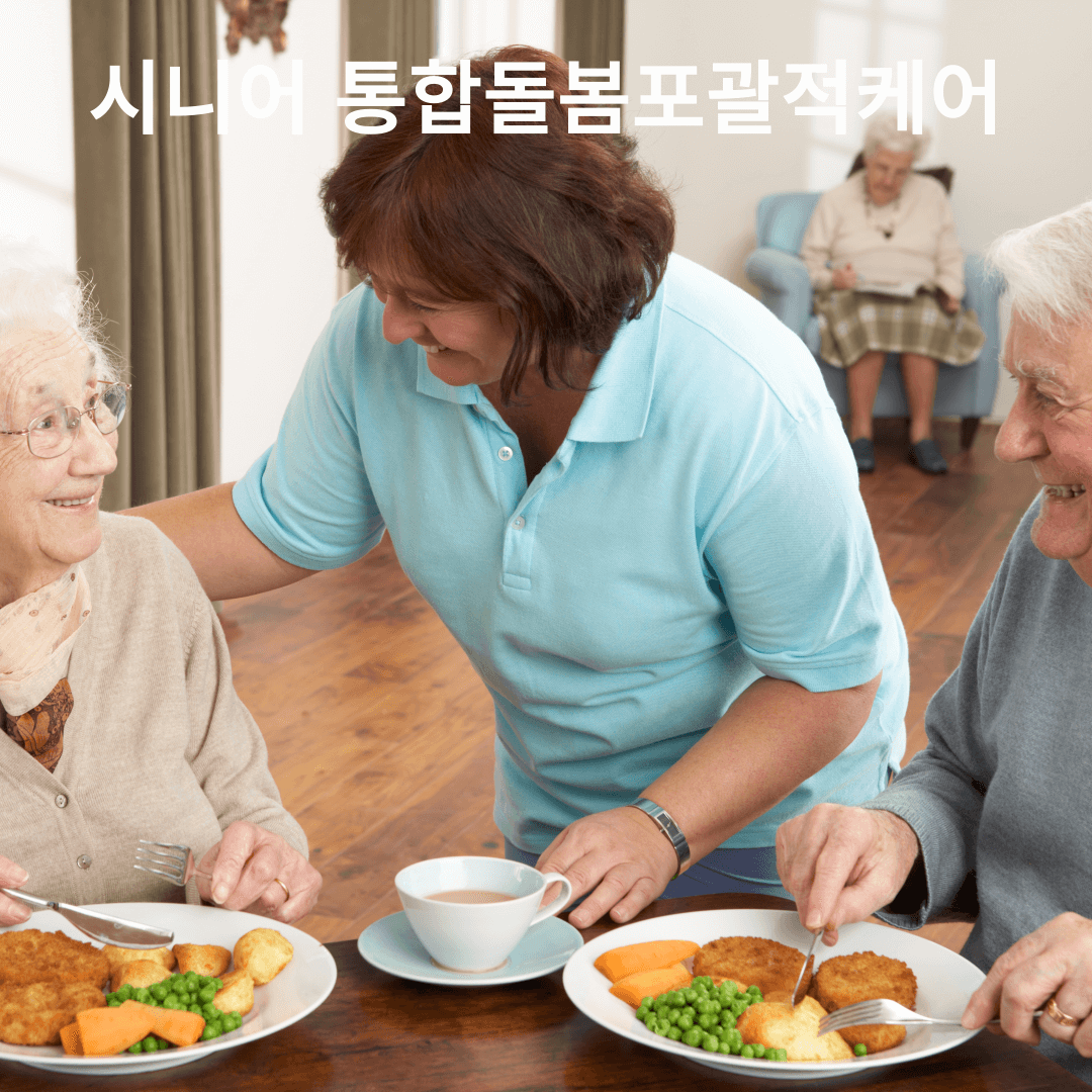시니어통합돌봄
