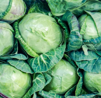 위염에 좋은 음식 영양제 식단