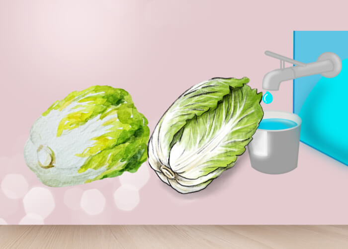 배추를-씻어내는-모습