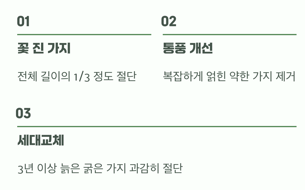 어떻게 잘라야 할까? (실전 팁)