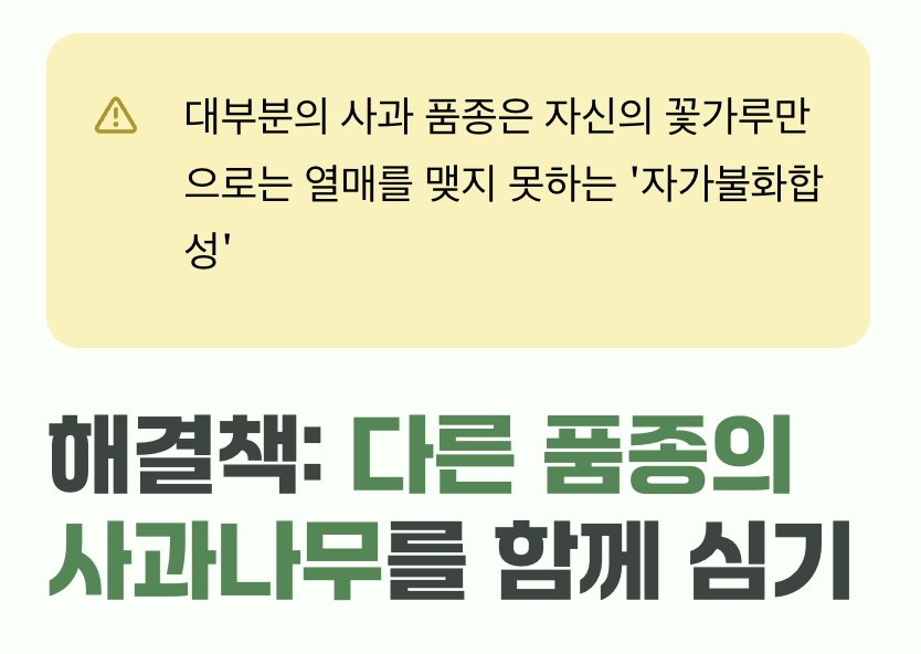 혼자는 외로워요, 짝꿍이 필요해요 (수분수)