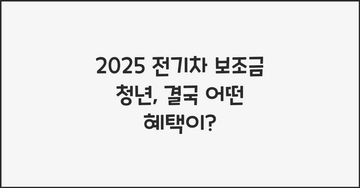 2025 전기차 보조금 청년