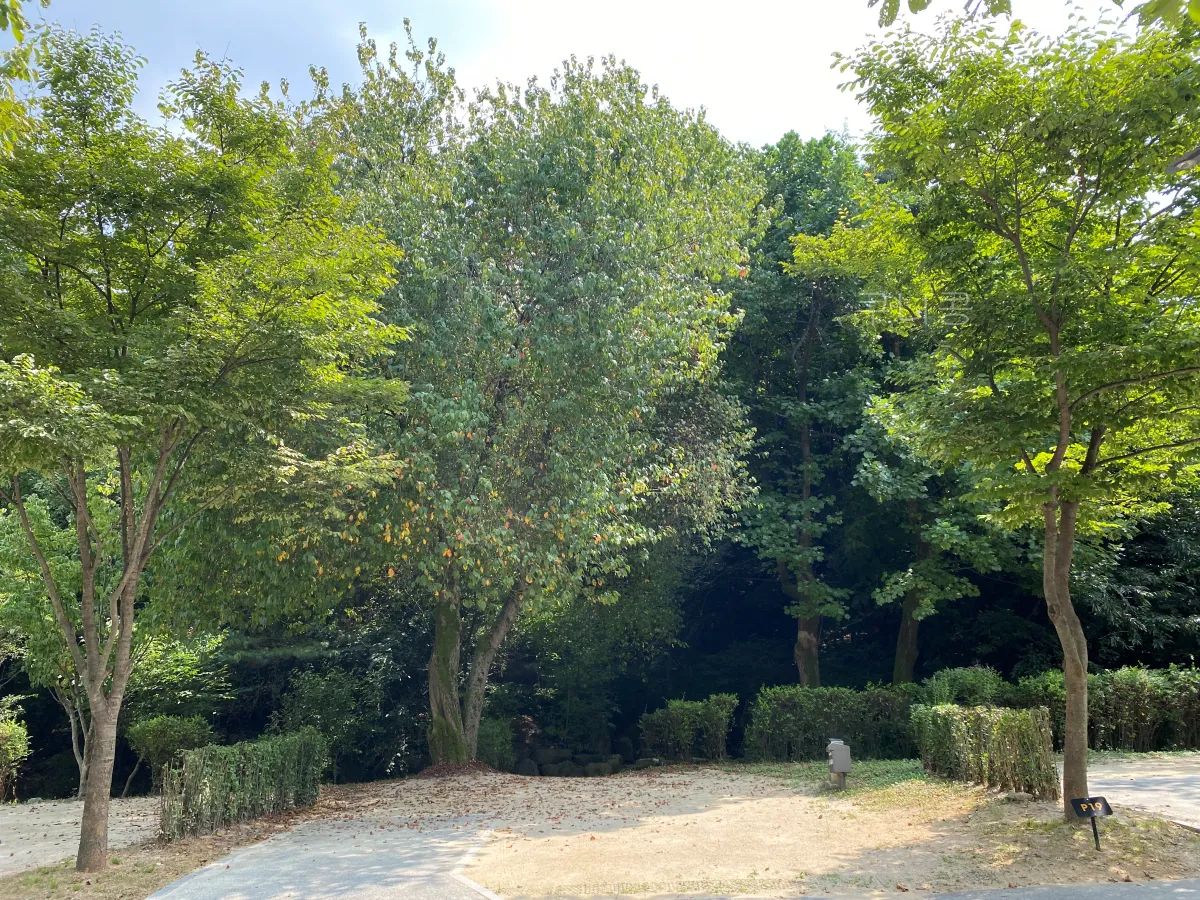 아이랑-가기-좋은-캠핑장-추천,-초안산-파크캠핑빌리지-사이트별-특징-소개