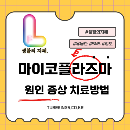 마이코플라즈마: 원인, 증상, 치료 방법 및 예방