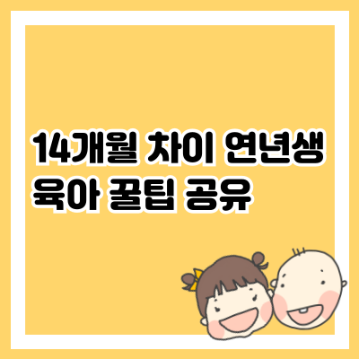 14개월 차이 연년생 육아 꿀팁 공유