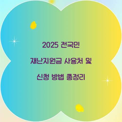 2025 전국민 재난지원금 사용처
