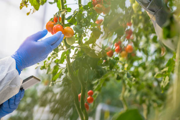 바우처 지원금액 및 혜택안내