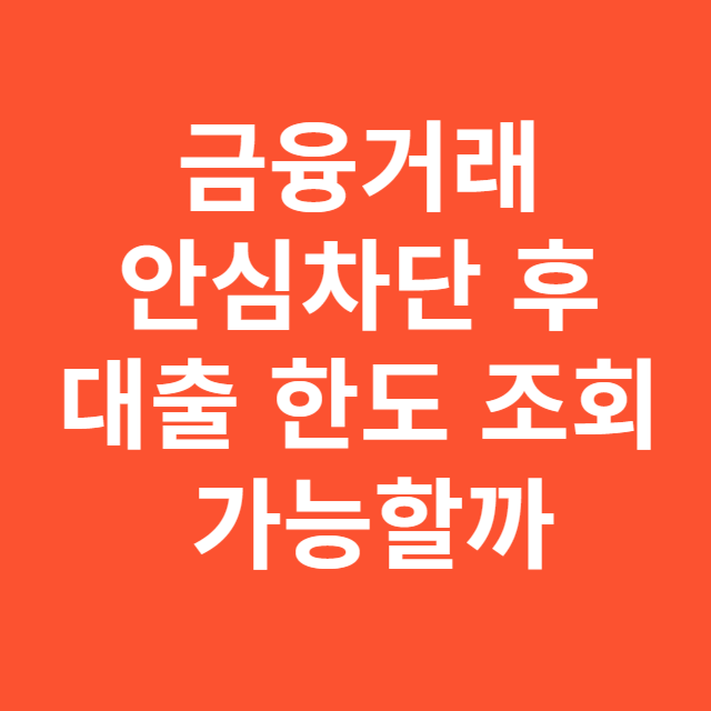 금융거래 안심차단 서비스 유심 해킹 막을 수 있나