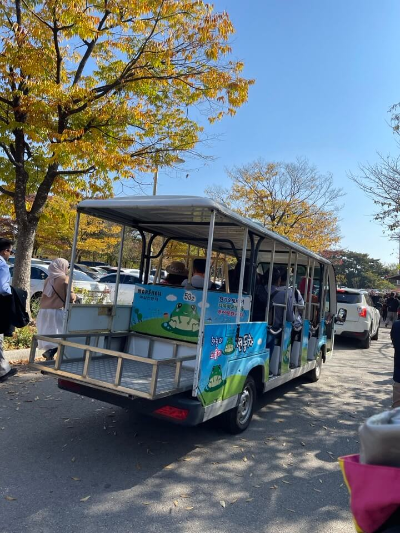 상암 하늘공원 가을 나들이