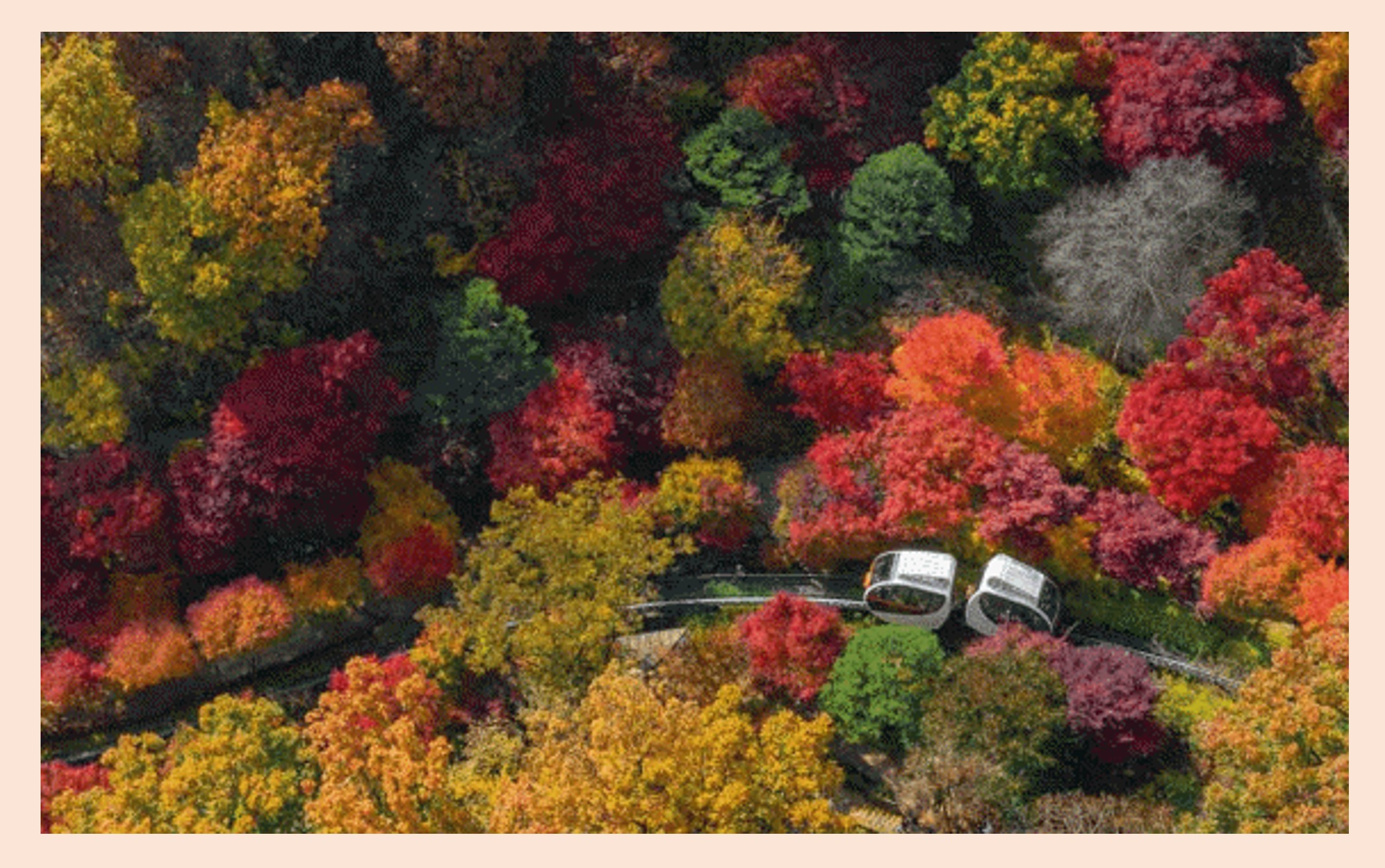 2024 서울근교 단풍명소-경기도 화담숲