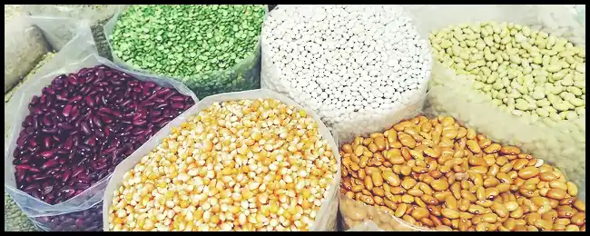 파로 곡물 효능 및 부작용과 먹는 법