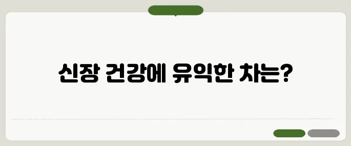 신장에 좋은 차 추천 염분 배출과 독소 제거에 도움