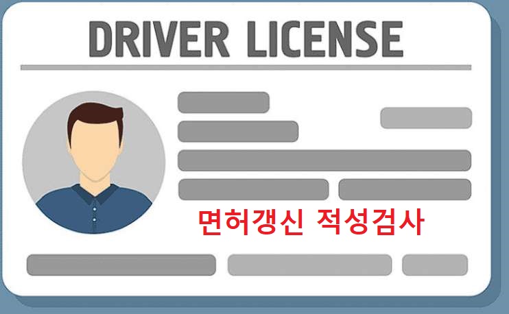 운전면허 적성검사 