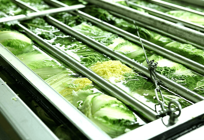 해남 절임배추 20kg 사전예약 가격비교