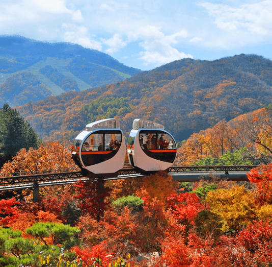 단풍여행 단풍트레킹 당일버스 여행