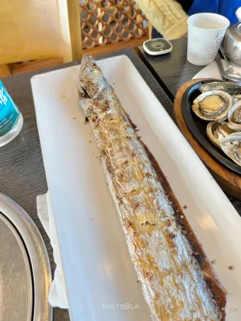 제주 갈치 낚시 물때 포인트_3