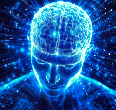 자율신경 관련 이미지