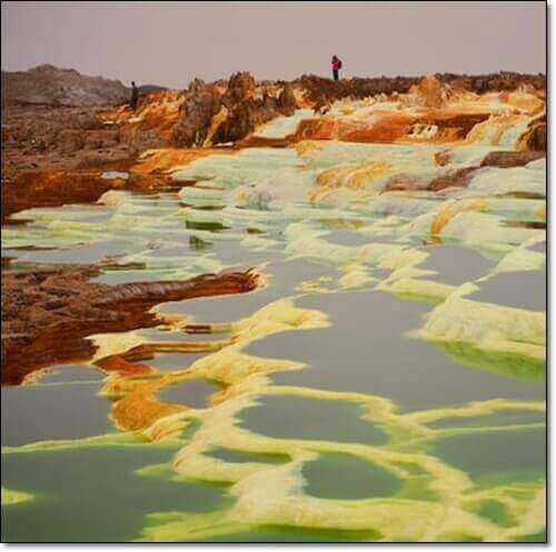 황산화 효능 및 작용 황산화에 좋은 음식
