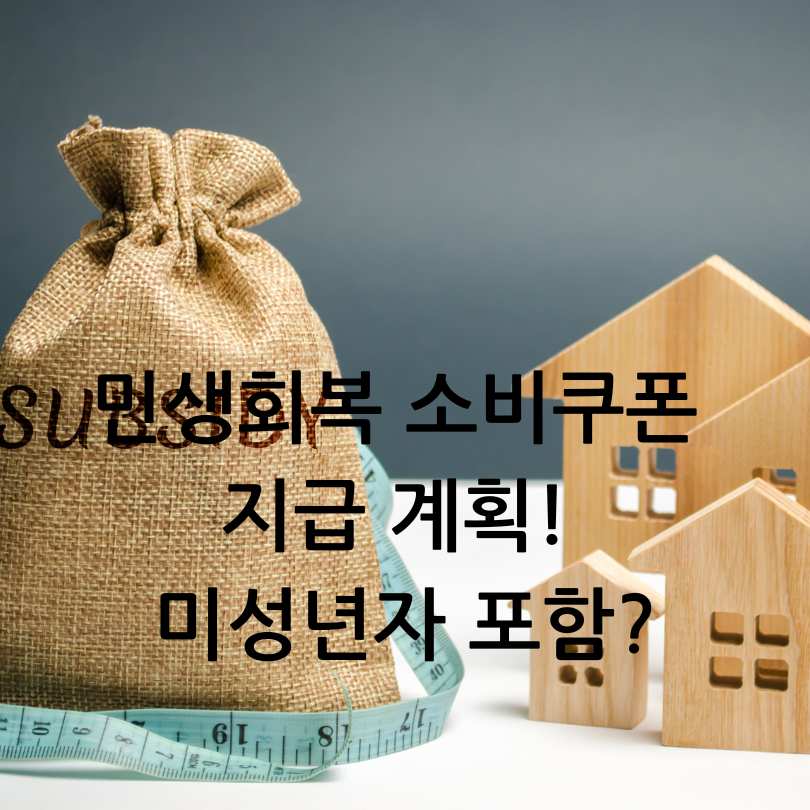 민생회복 소비쿠폰 2025 지급 계획! 미성년자 포함
