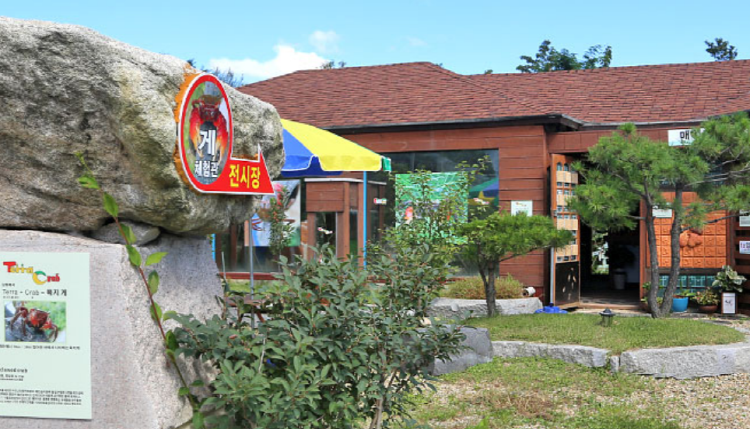 속초 테라크랩팜