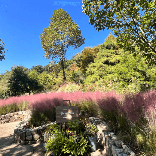 화담숲 전경사진