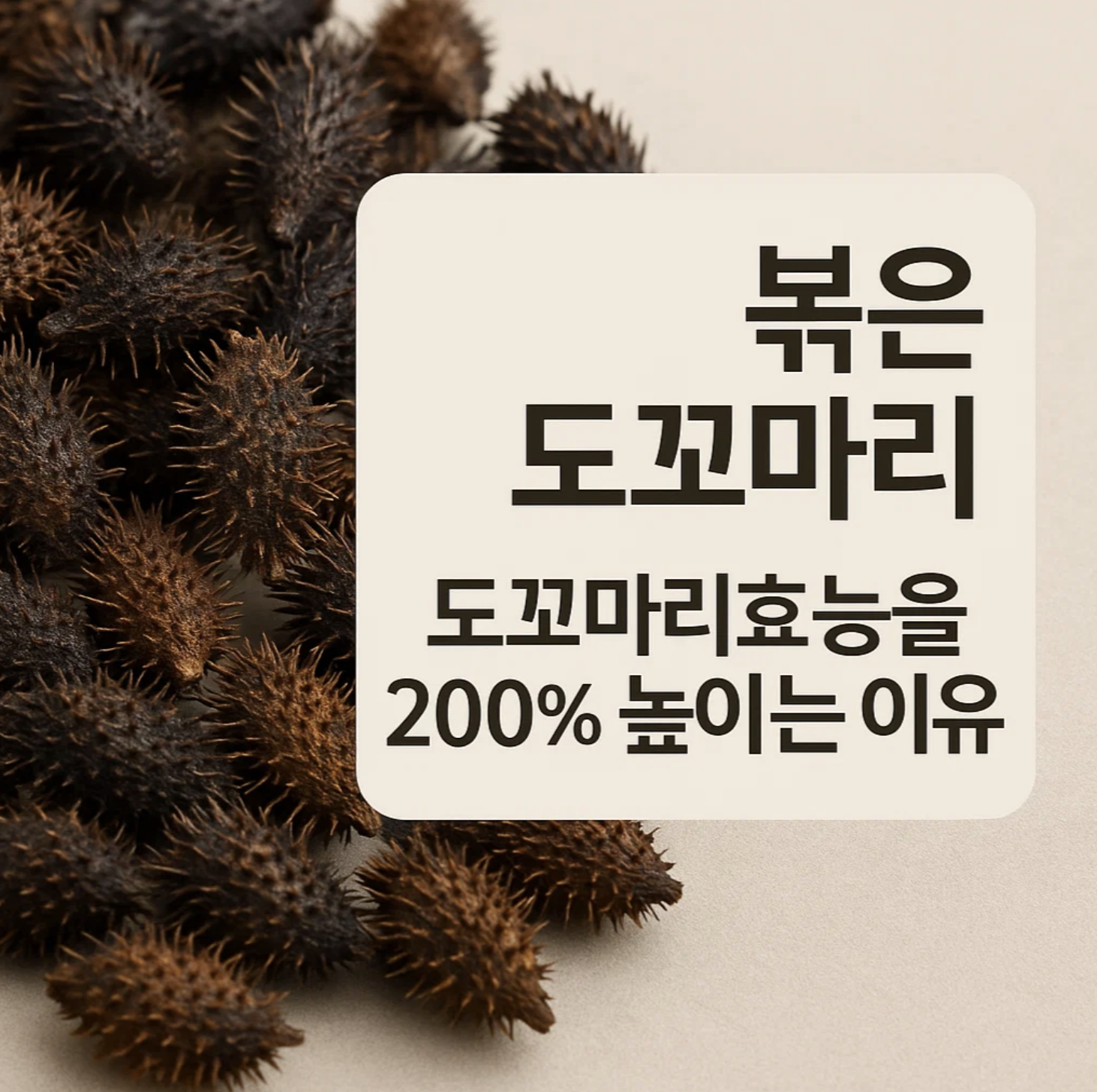 볶은 도꼬마리, 도꼬마리효능을 200% 높이는 이유