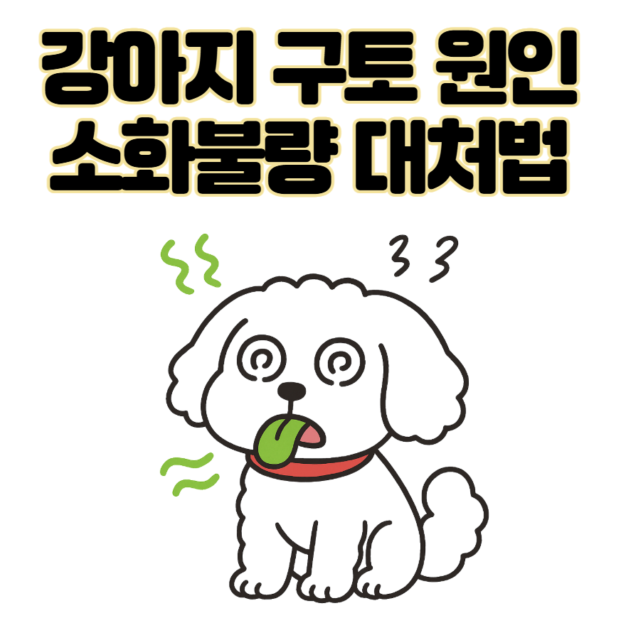 강아지가 갑자기 토했어요 괜찮을까요? 구토 원인과 소화불량 대처법