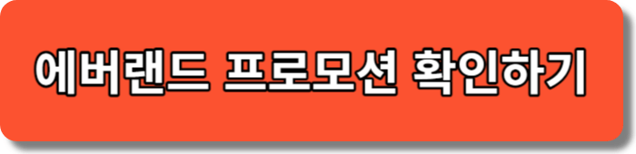 에버랜드 실시간 프로모션 확인