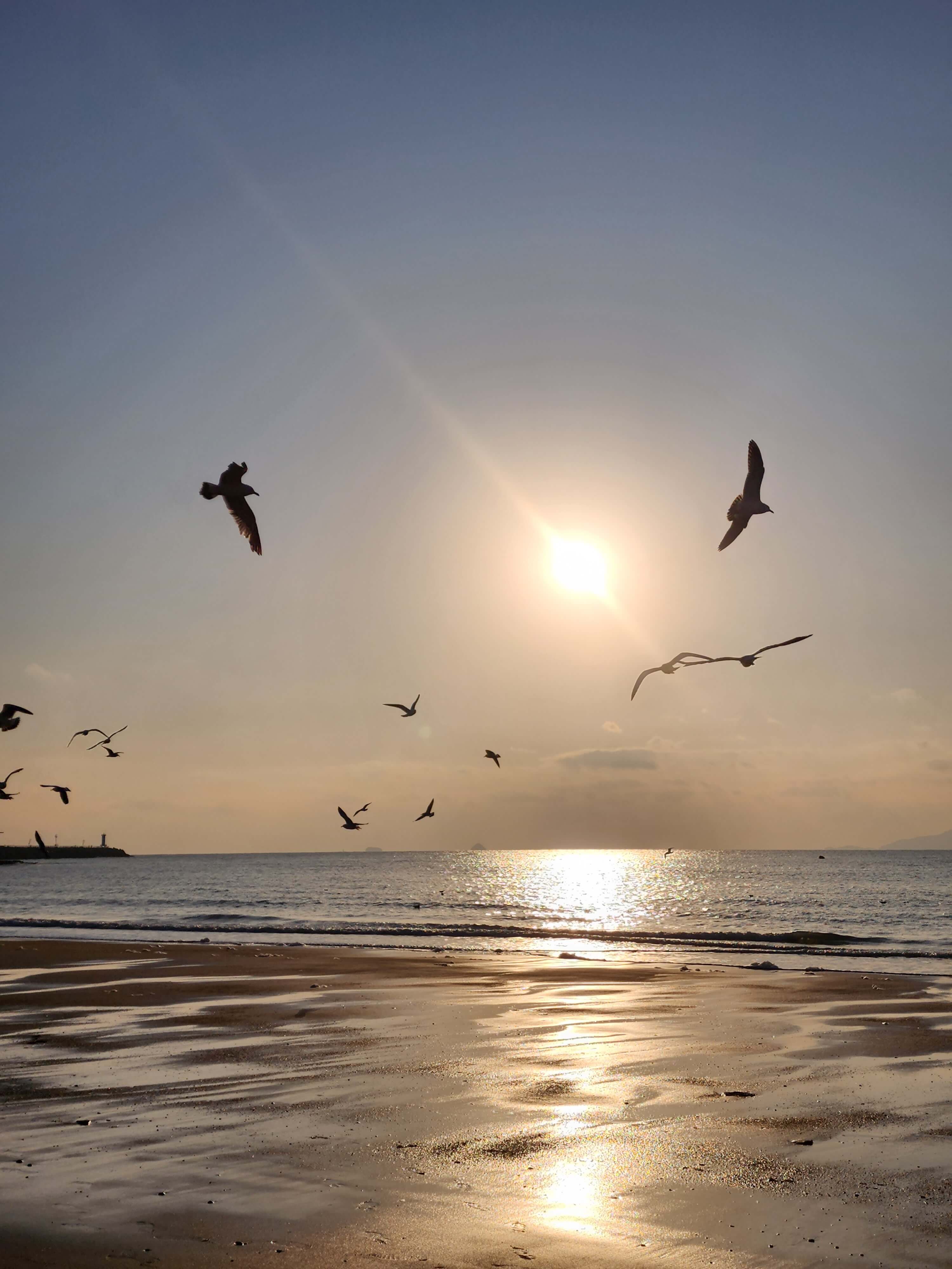 반려견과 변산반도여행 채석강