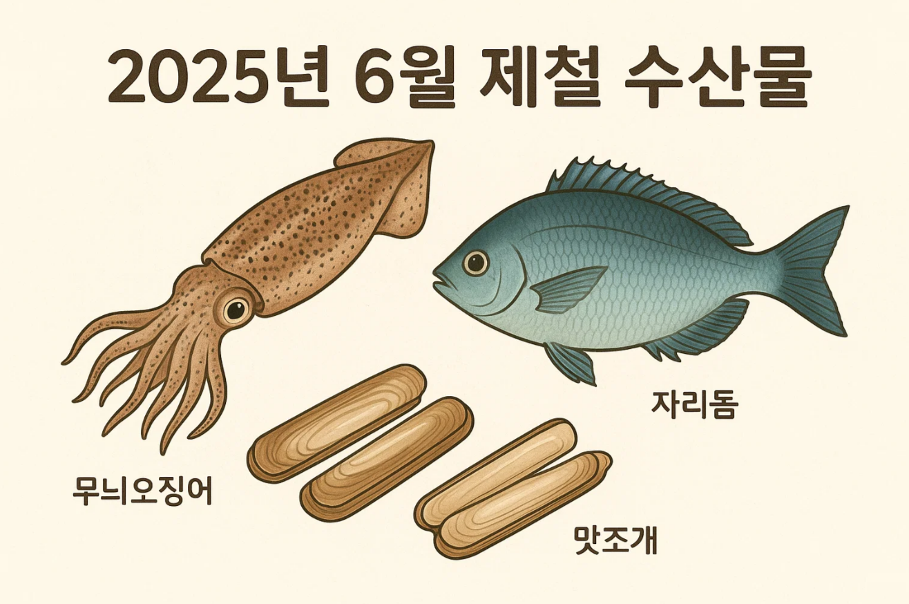 "2025년 6월 제철 수산물 추천: 무늬오징어&middot;자리돔&middot;맛조개로 여름 입맛 살리기"