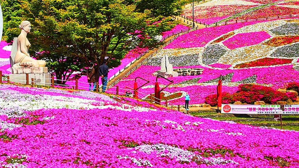 4월 부산 근교 봄축제 TOP 05 데이트 가족나들이 가볼만한곳