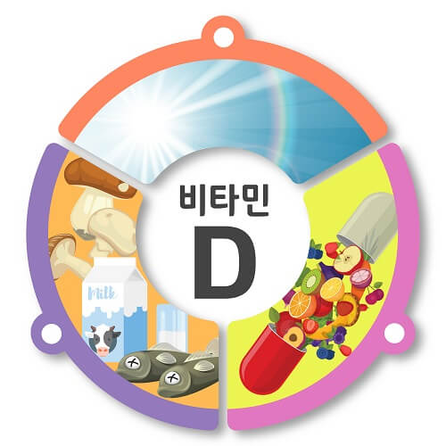 비타민D-효능