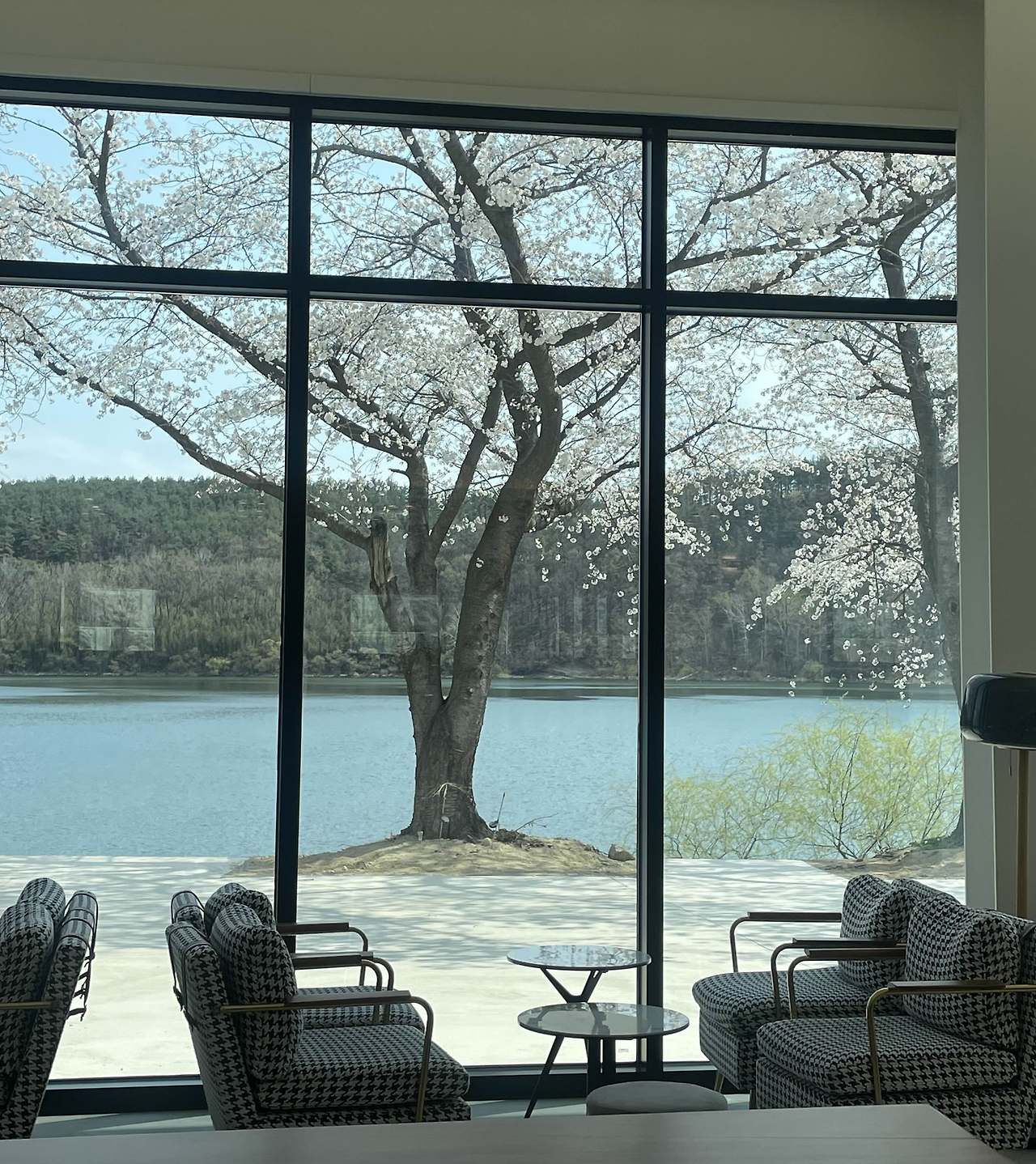 포항 신광 호리블리 카페