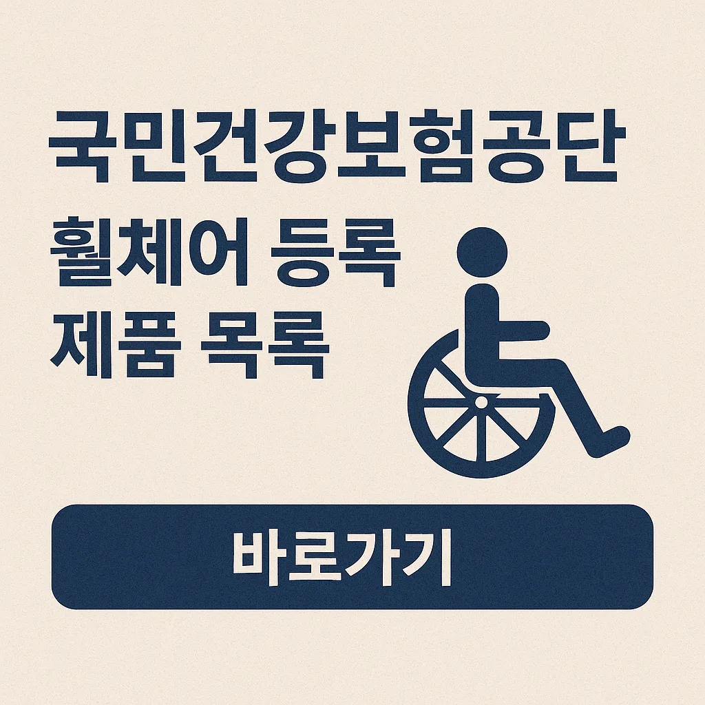 장애인 휠체어 정부 지원