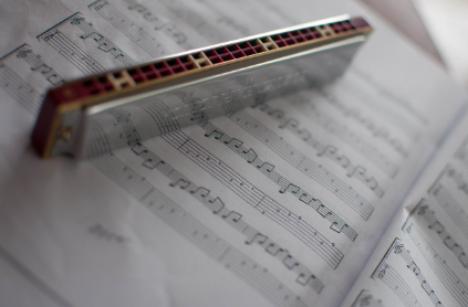 하모니카 연주, 초보자가 쉽게 배울 수 있는 악기