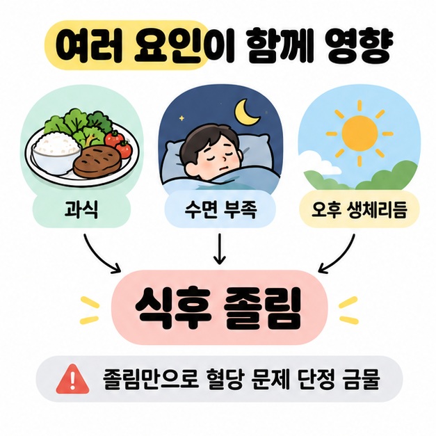 과식과 수면 부족 및 오후 생체리듬을 식후 졸림에 연결하고 졸림만으로 혈당 문제를 단정하지 않도록 안내하는 도식