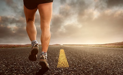 마라톤을 완주하거나 거대한 코끼리를 먹어치울 수 있다.