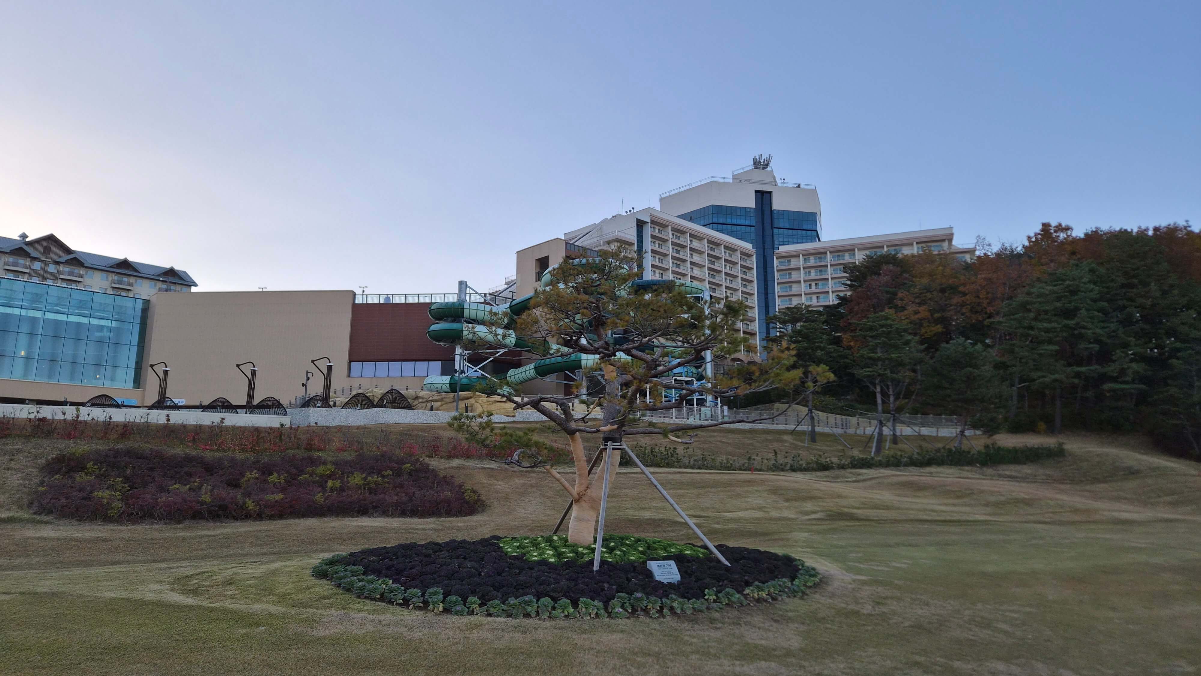 골프장 경험담 소노펠리체cc델피노 설악산 울산바위와 탁 뜨인 동해 바다 소나무가 멋진곳